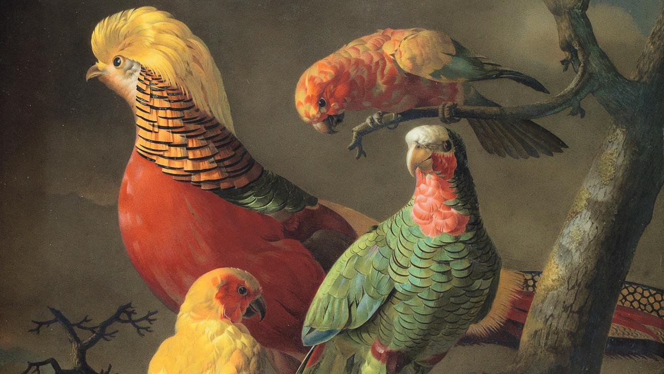 Jacques Barraband (1767-1809) et Dihl et Guerhard, peinture sur plaque de porcelaine... Mon truc en plumes…