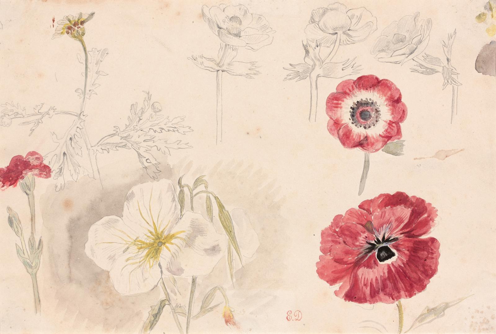 Delacroix, délicat botaniste
