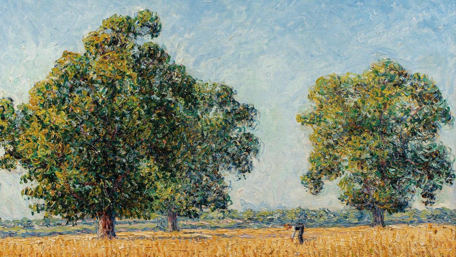 Francis Picabia (1879-1953), Les Châtaigniers à Munot, effet de soleil, 1907, huile... Francis Picabia 1907 : nature et photographie