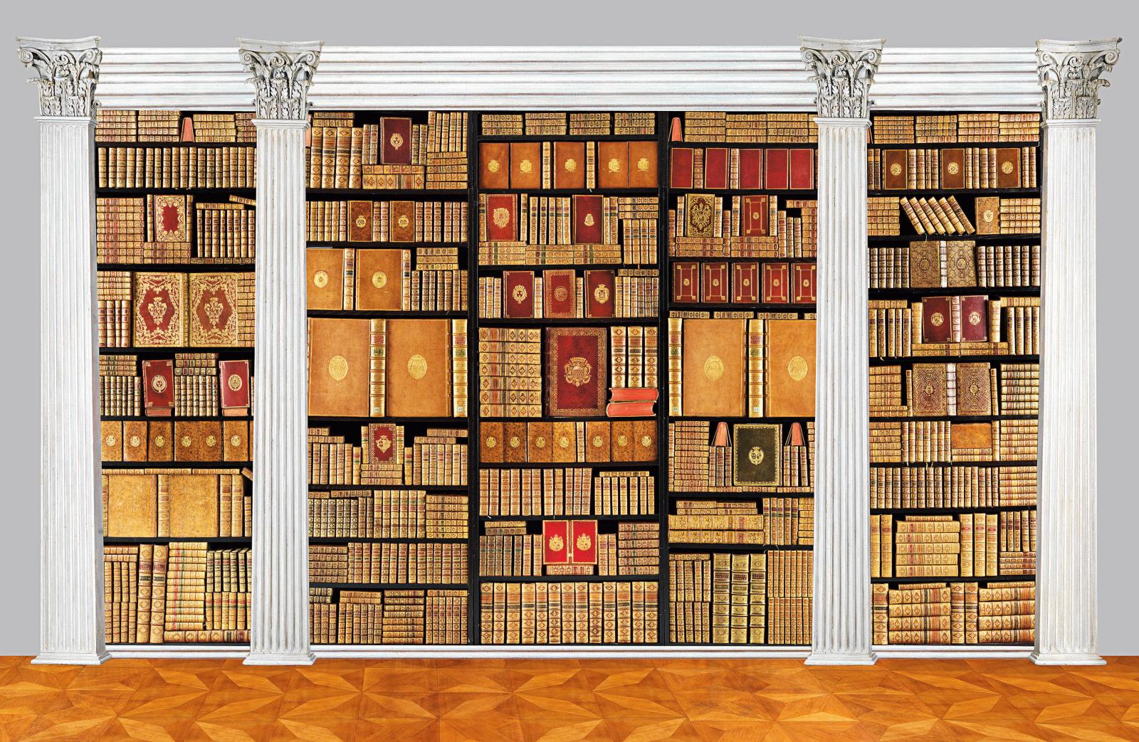 Un chef-d’œuvre de bibliophile Voici un lot bien particulier : une bibliothèque française composée de 810 volumes. Un ensemble qui ne représente pourt