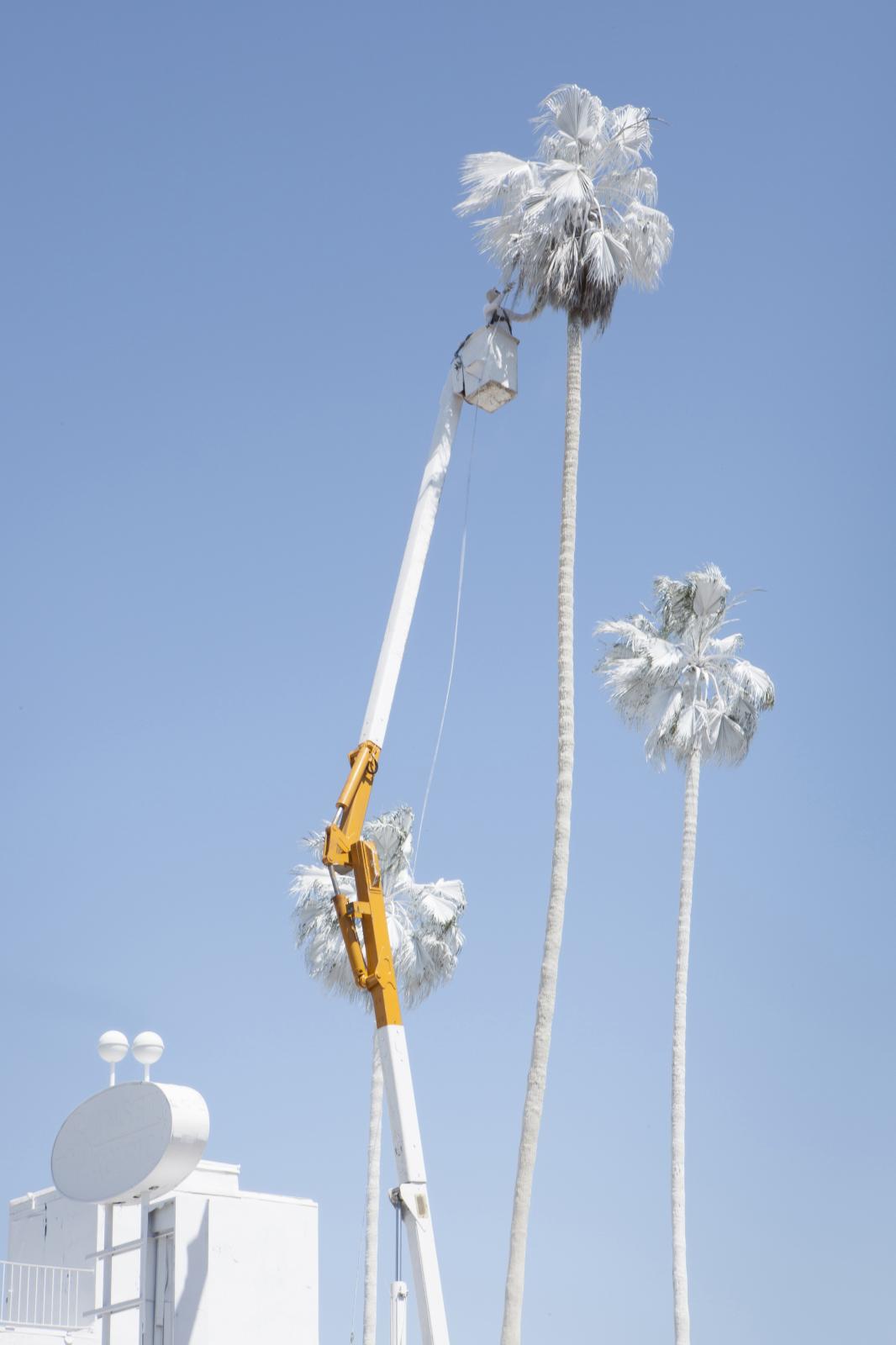 Vincent Lamouroux (né en 1974), Projection, 2015, chaux inerte projetée sur le Sunset Pacific Motel, à Los Angeles. 