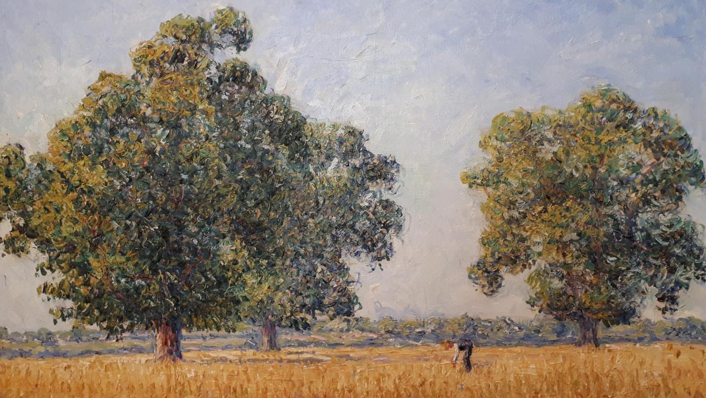 Francis Picabia (1879-1953), Les Châtaigniers à Munot, effet de soleil (The Chestnut... Picabia, a Late-coming Impressionist Painter 