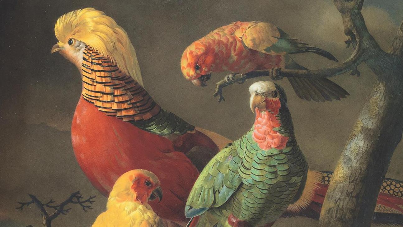 Jacques Barraband (1768-1809) et Dihl et Guérhard, peinture sur plaque de porcelaine... Quatre oiseaux exotiques parés à prendre leur envol