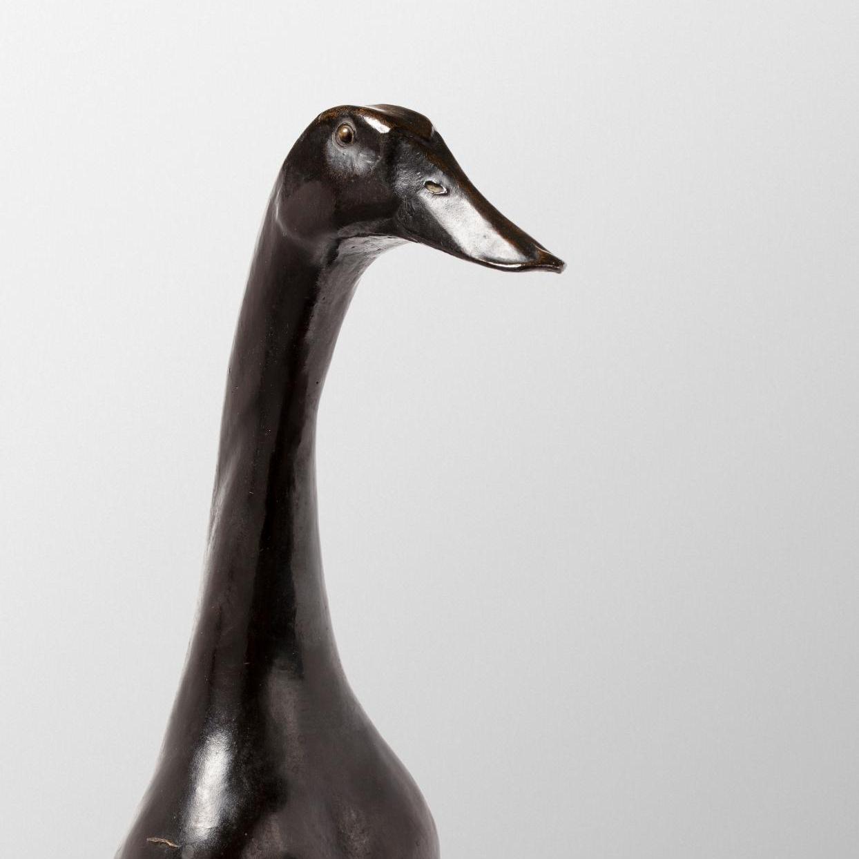 A World Record for an Indian Runner Duck - Lots sold