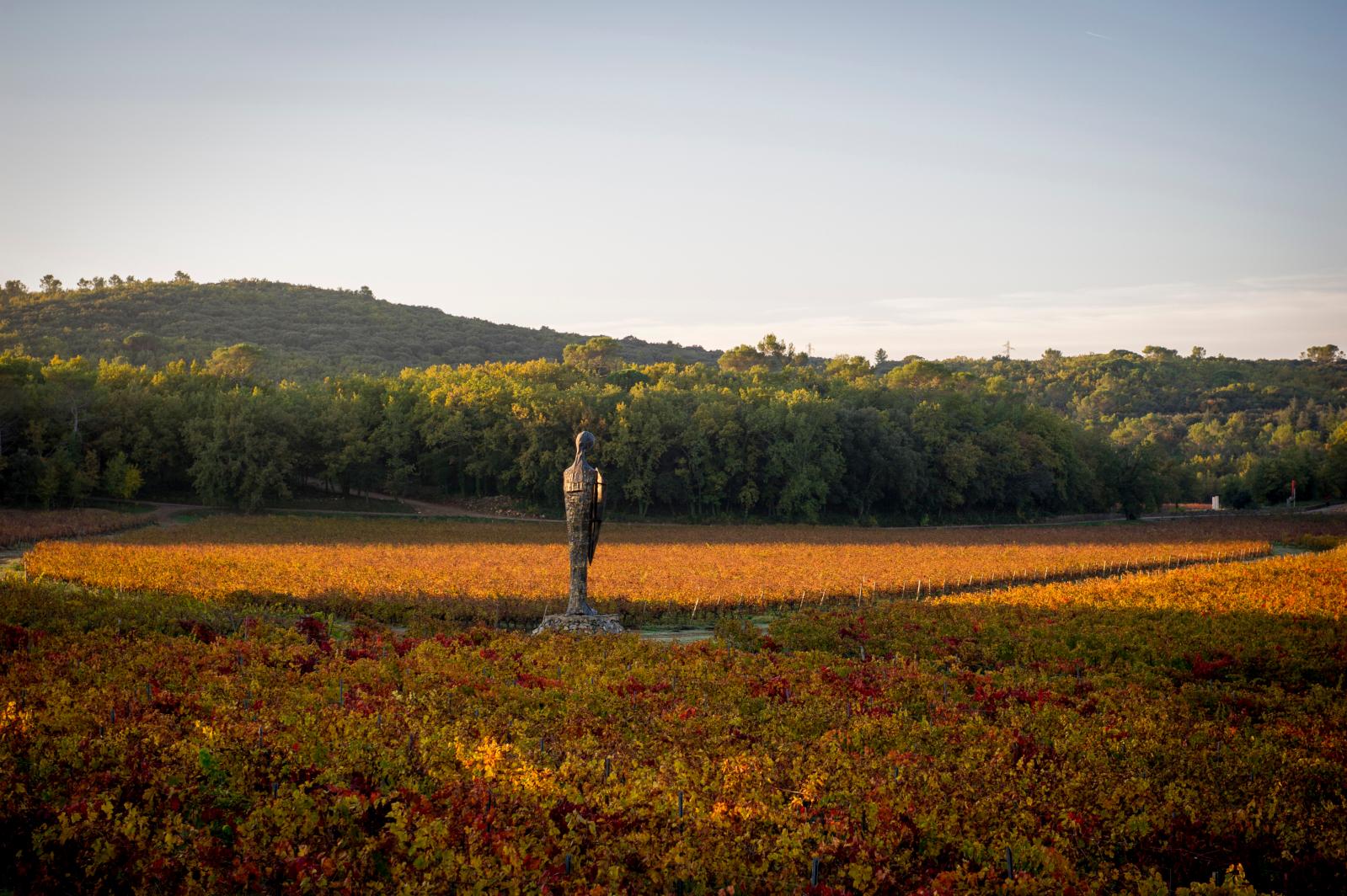 Face au massif des Maures, dans le Var, la commanderie de Peyrassol, s’étend sur 950 hectares, dont 100 de vignes.