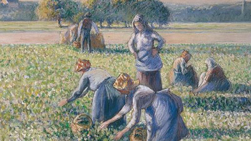 La Cueillette des pois, de Camille Pissarro, est réclamé par les héritiers de son... Spoliations : l’ordonnance de 1945 légitimée