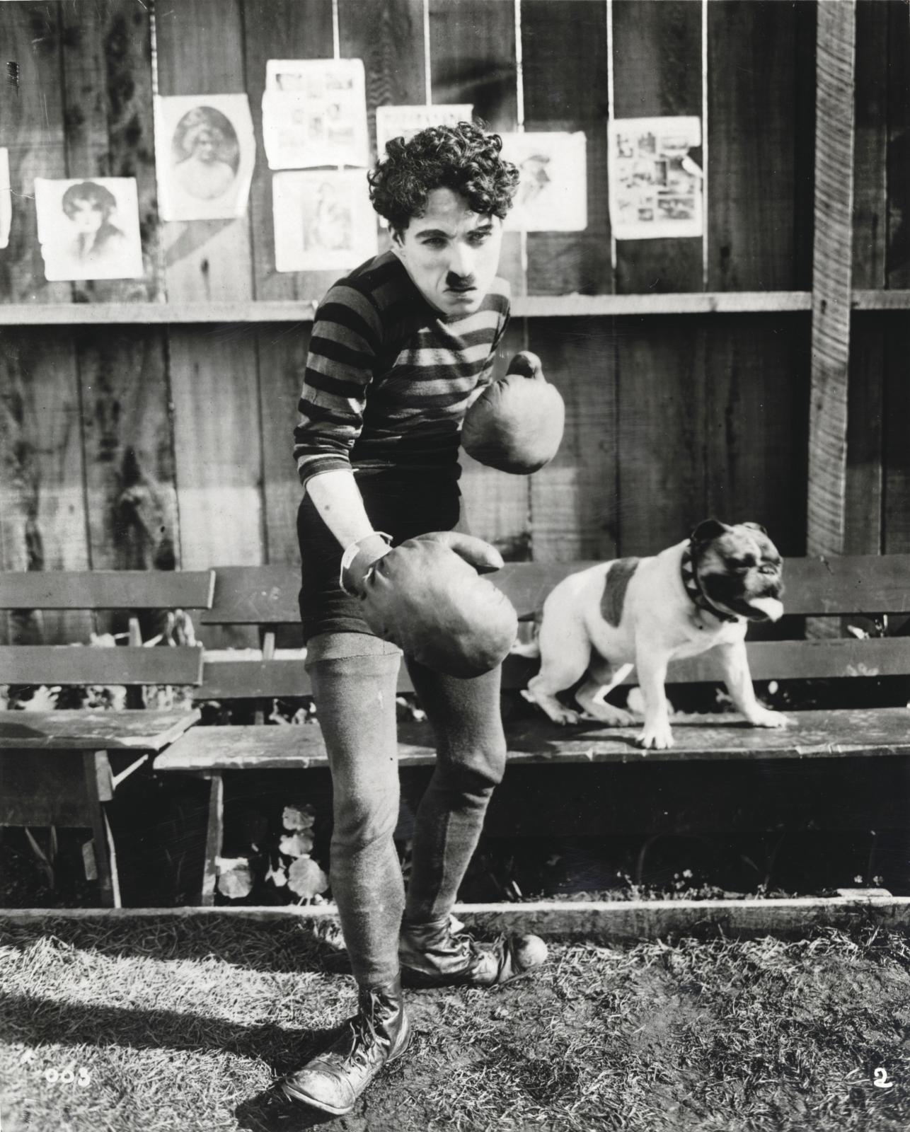 Nantes : les affinités intuitives de Charlie Chaplin