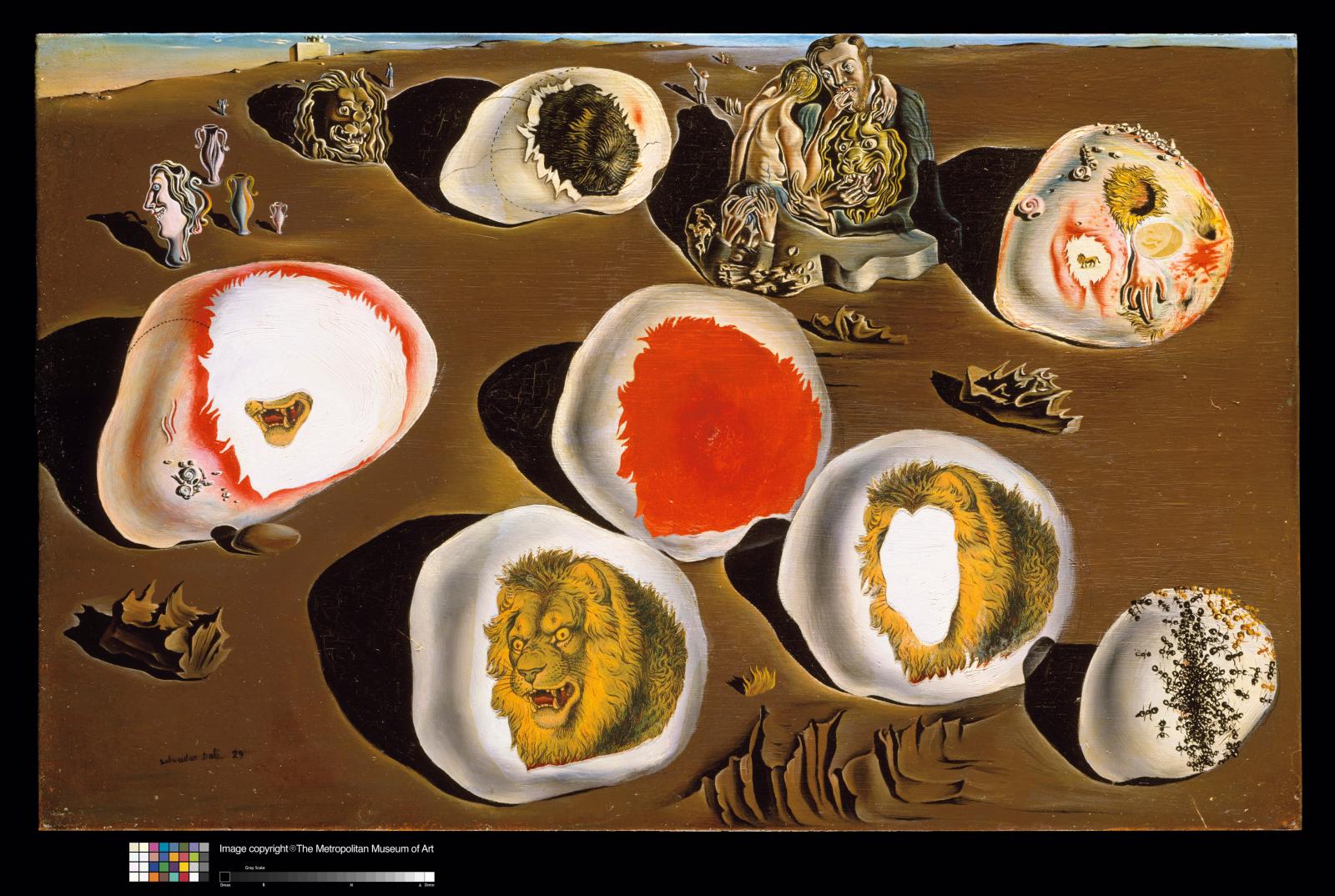 Dalí et Magritte aux Musées royaux des beaux-arts de Belgique