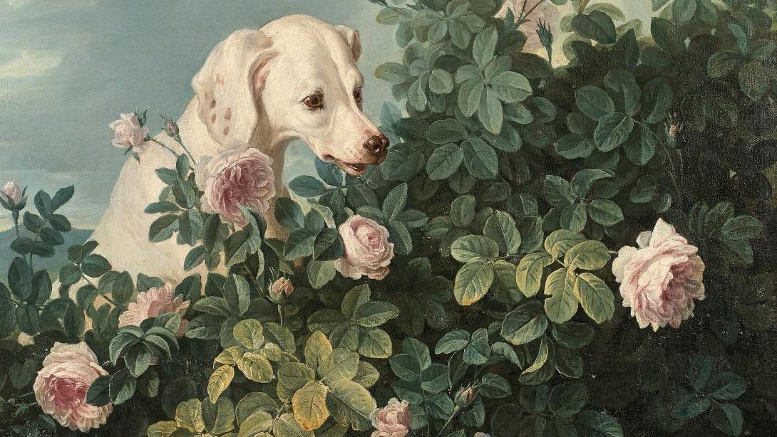 Alexandre-François Desportes (1661-1743), Un chien à l’arrêt devant les perdrix,... Mignonne, allons voir si derrière les roses…