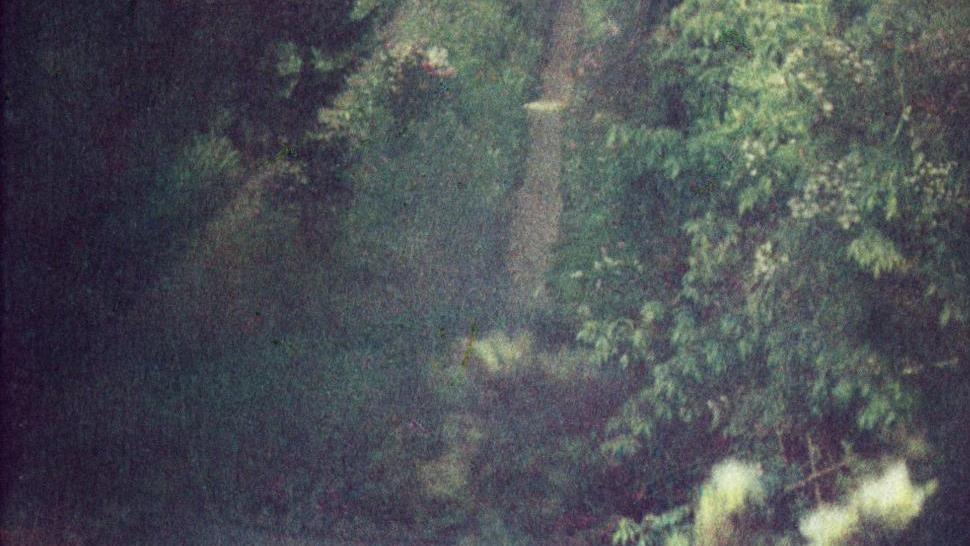 Bernard Plossu (né en 1945), Vue depuis le cabinet de toilette de Claude Monet, Giverny,... Fragments d’un paradis à la galerie Camera Obscura