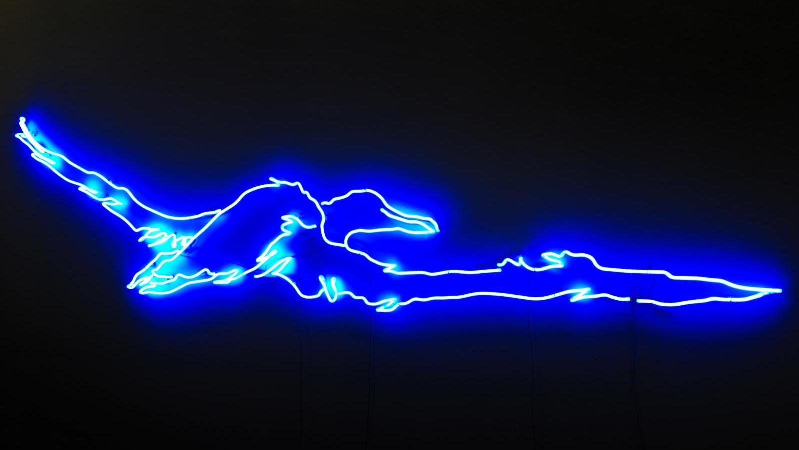 Art Orienté Objet, The Albatross, 2017, neon, 80 x 330 cm, courtesy galerie Les Filles... 