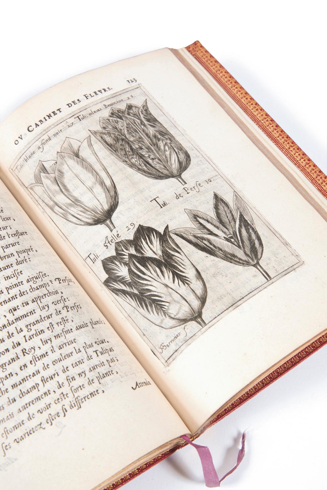 Jean Franeau (1577-1616), Iadin d’Hyver ou Cabinet des fleurs contenant en XXVI elegies les plus rares et signalez fleurons des plus flori