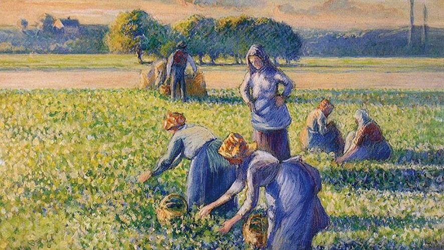 Camille Pissarro (1830-1903), La Cueillette des pois, 1887, gouache, 1887. DR Spoliation : l’ordonnance de 1945 devant la Cour  européenne