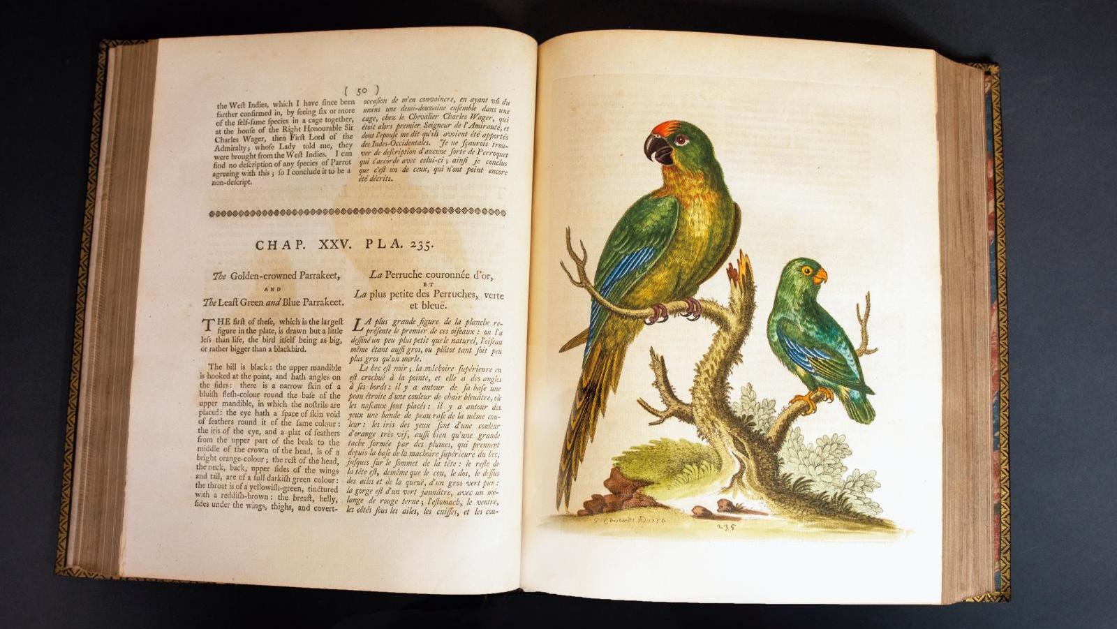George Edwards (1694-1773), Gleanings of Natural History, Exhibiting Figures of Quadrupeds,... La bibliothèque Polaillon a hissé les couleurs 