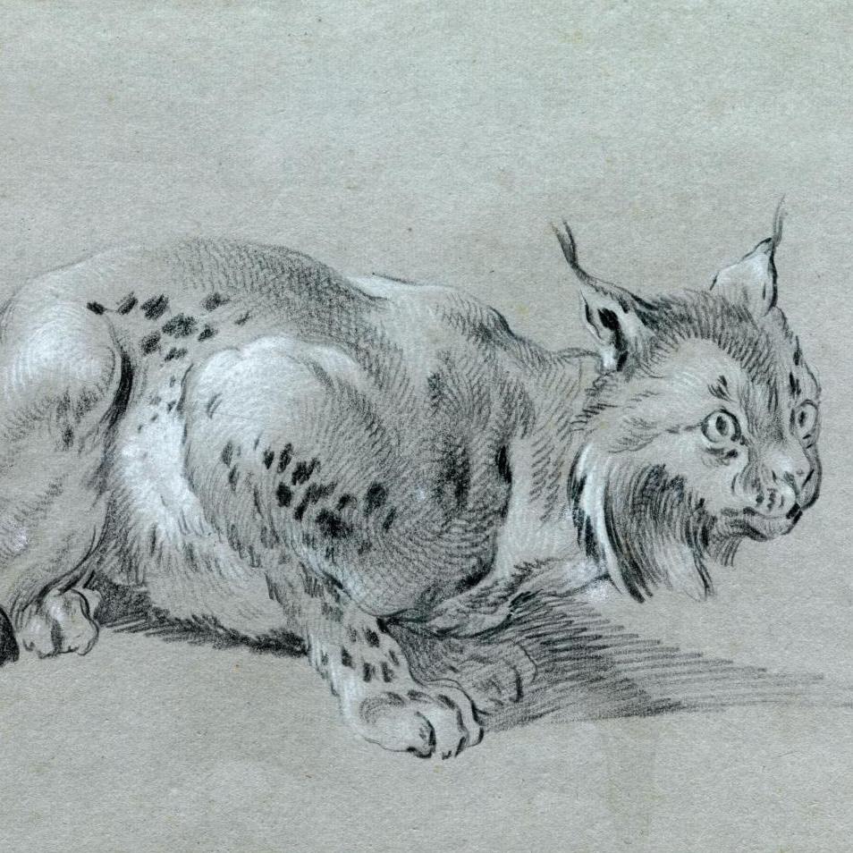 D’un lynx européen d’Oudry à un village tonkinois - Après-vente