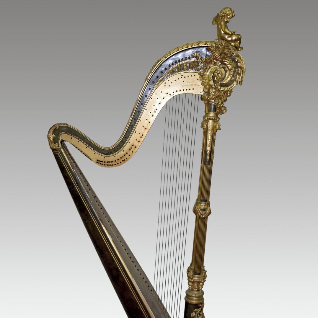 Harpe de concert - Panorama (après-vente)