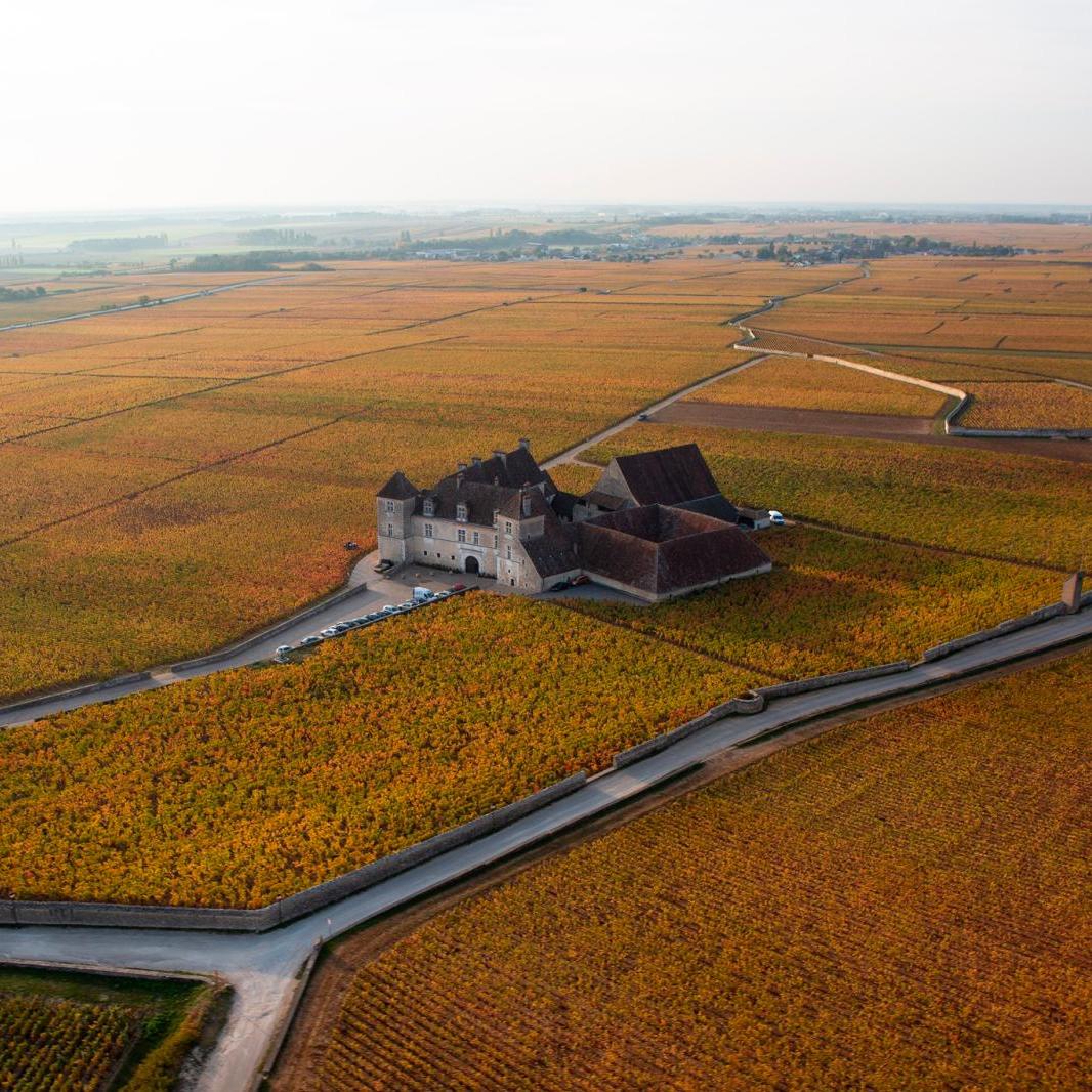 Le Clos de Vougeot: A Château Among Burgundy's Vineyards - Cultural Heritage