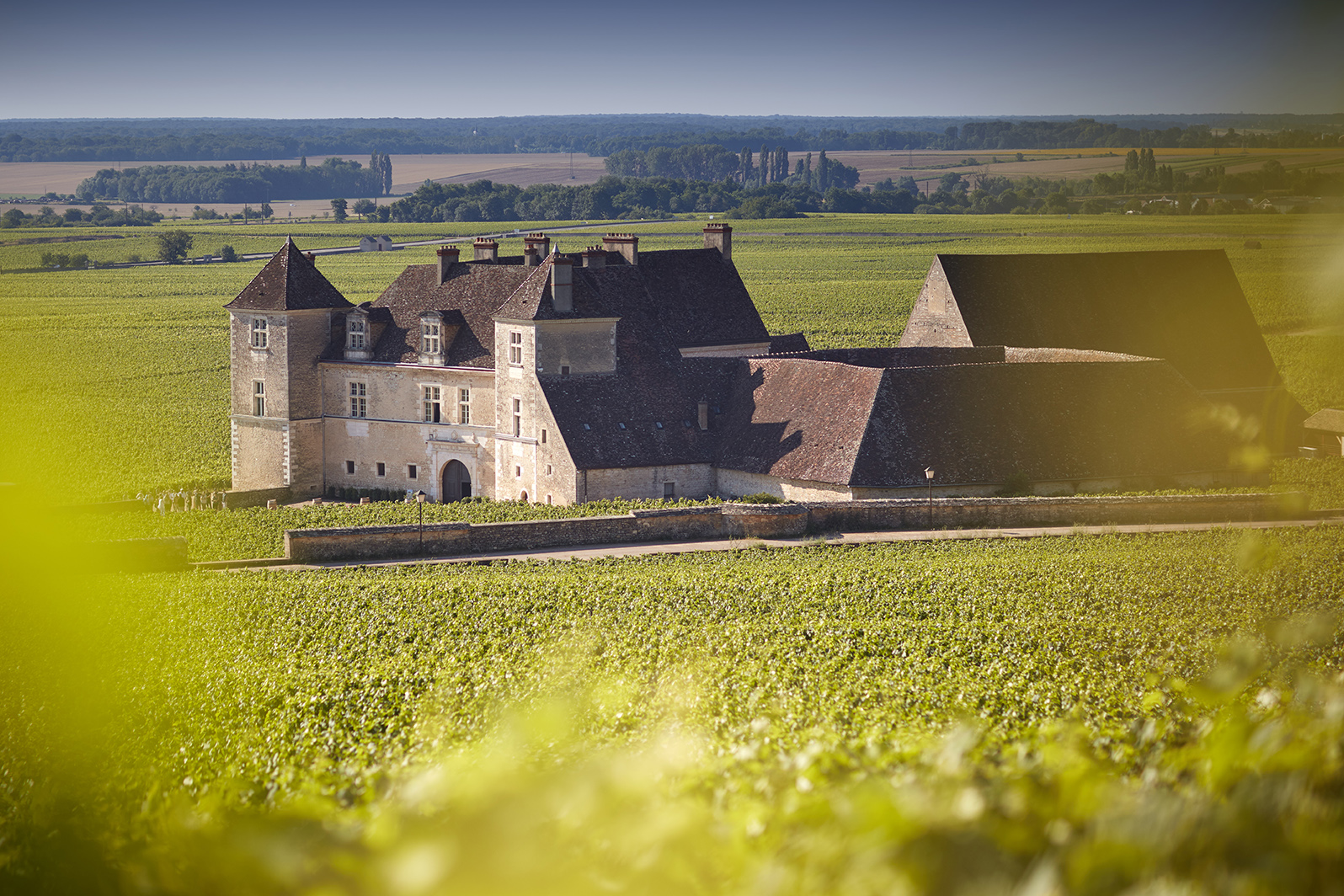 Le Clos de Vougeot, un château dans les vignes