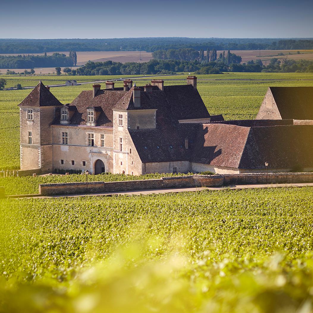 Le Clos de Vougeot, un château dans les vignes - Patrimoine