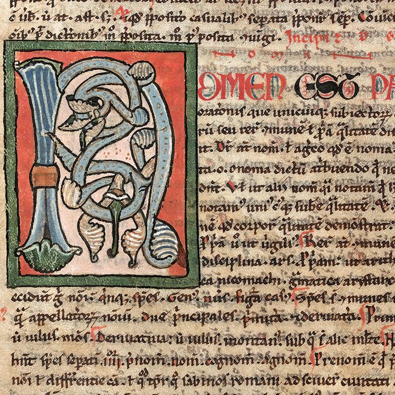 The Draw of Medieval Latin Grammar 