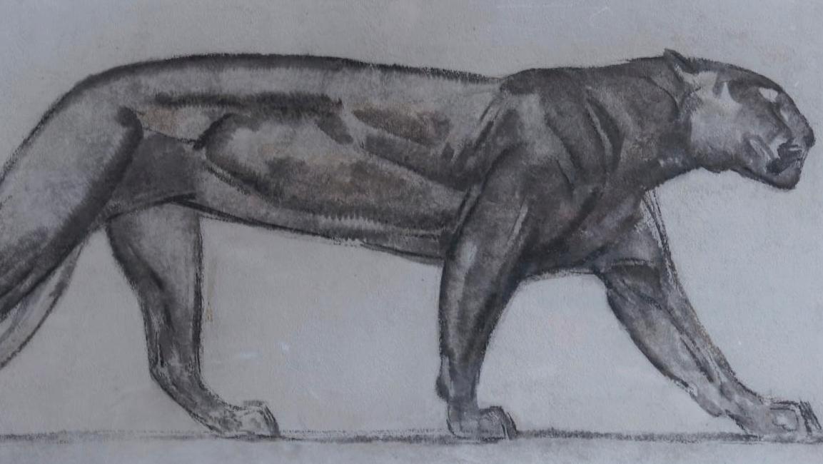 Paul Jouve (1878-1973), Panthère noire, dessin au fusain, 49 x 98 cm. Estimation :... Sur les pas de Paul Jouve et du Livre de la jungle