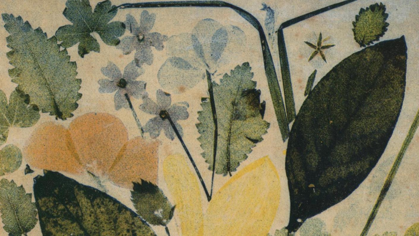 Louis Ducos du Hauron (1837-1920), Feuilles et pétales de fleurs, reproduction collographique,... Ducos du Hauron, la couleur révélée