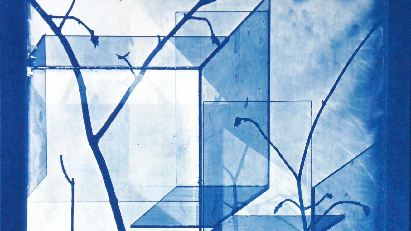 Laurent Millet, Sans titre #1, série «Schloss im Wald zu Bauen», 2012, tirage cyanotype... Galerie Binome : Laurent Millet - Un architecte comme les autres