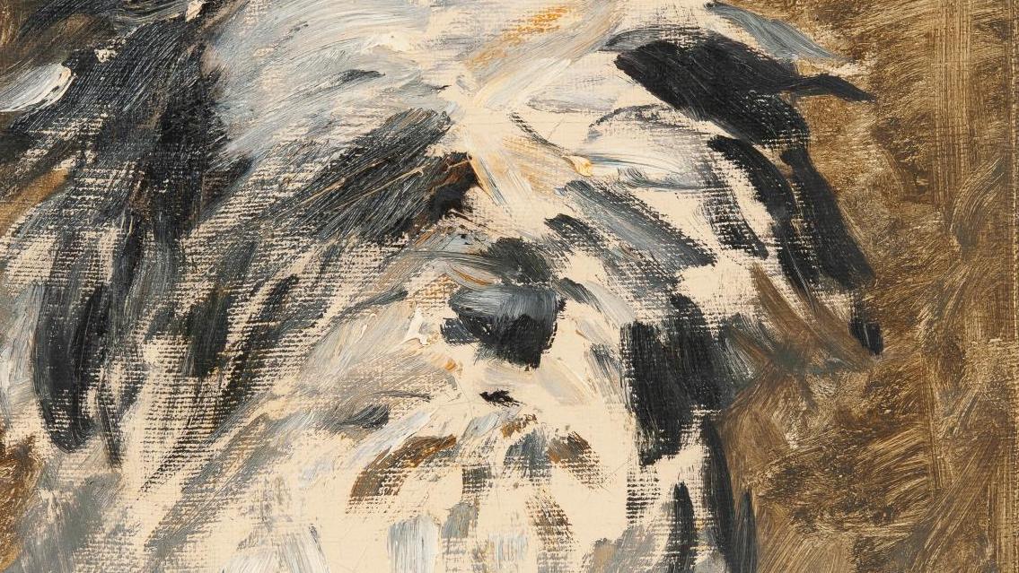 Édouard Manet (1832-1883), Portrait de Minnay, huile sur toile, 32,5 x 24,5 cm (détail).... Le Minnay de Manet : portrait de chien au temps de l’impressionnisme