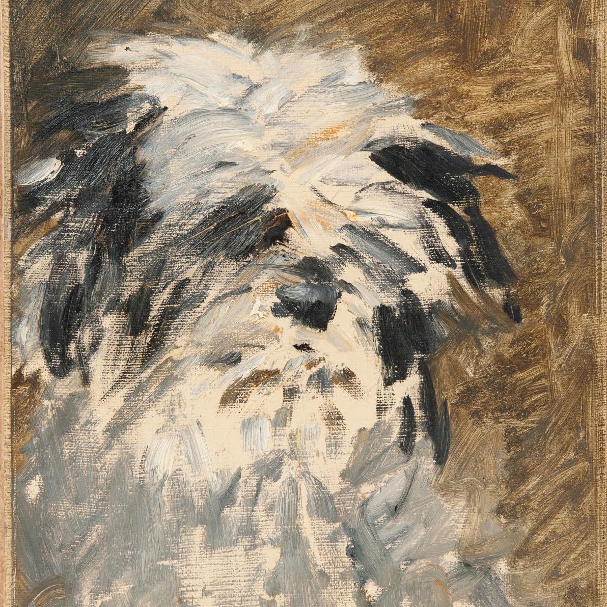 Le Minnay de Manet : portrait de chien au temps de l’impressionnisme - Zoom