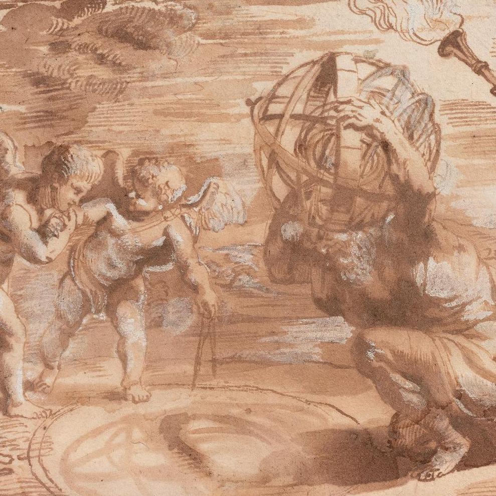 Rubens illustrateur scientifique  - Zoom