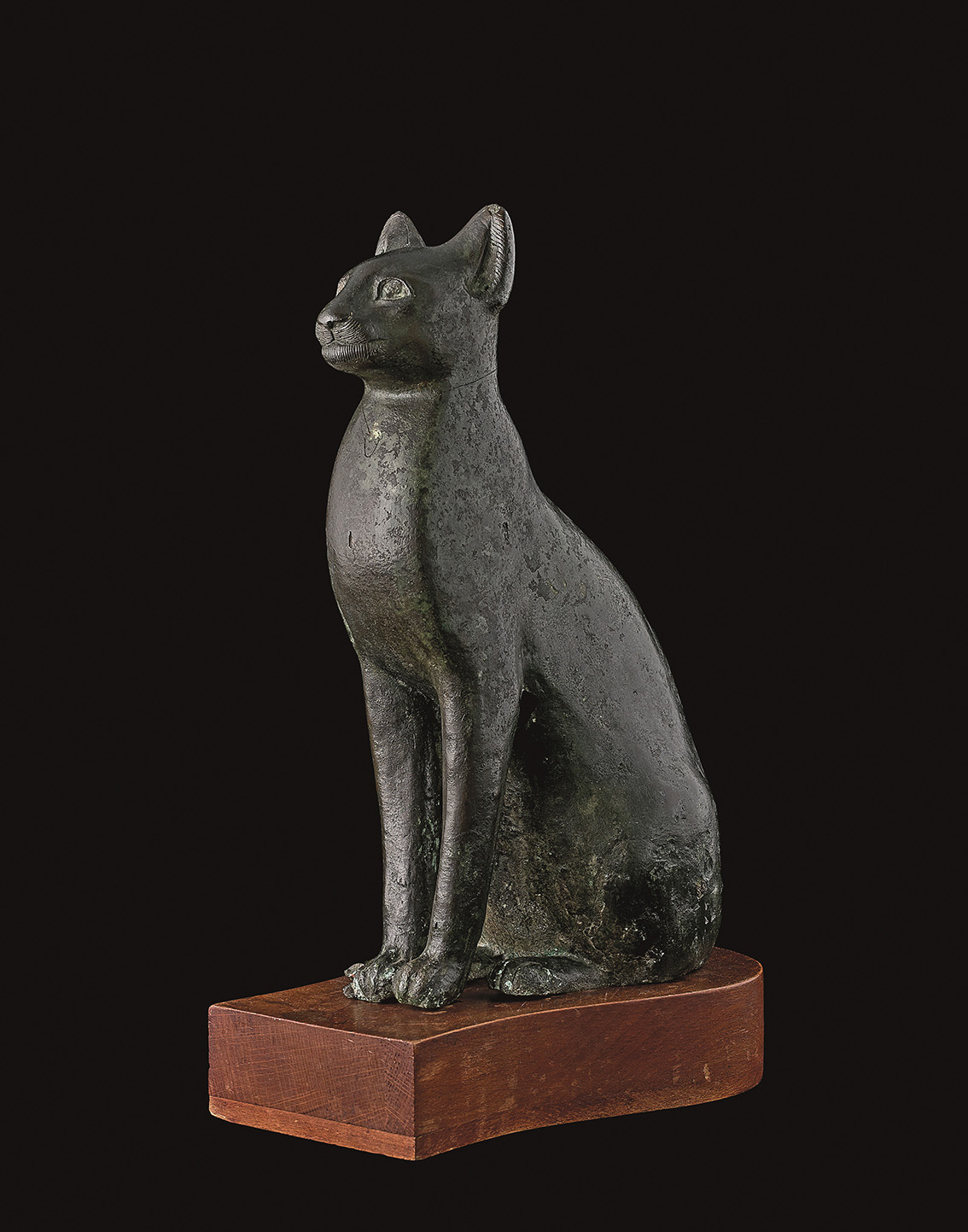 White Glove Treatment for Egyptian Feline in Bronze