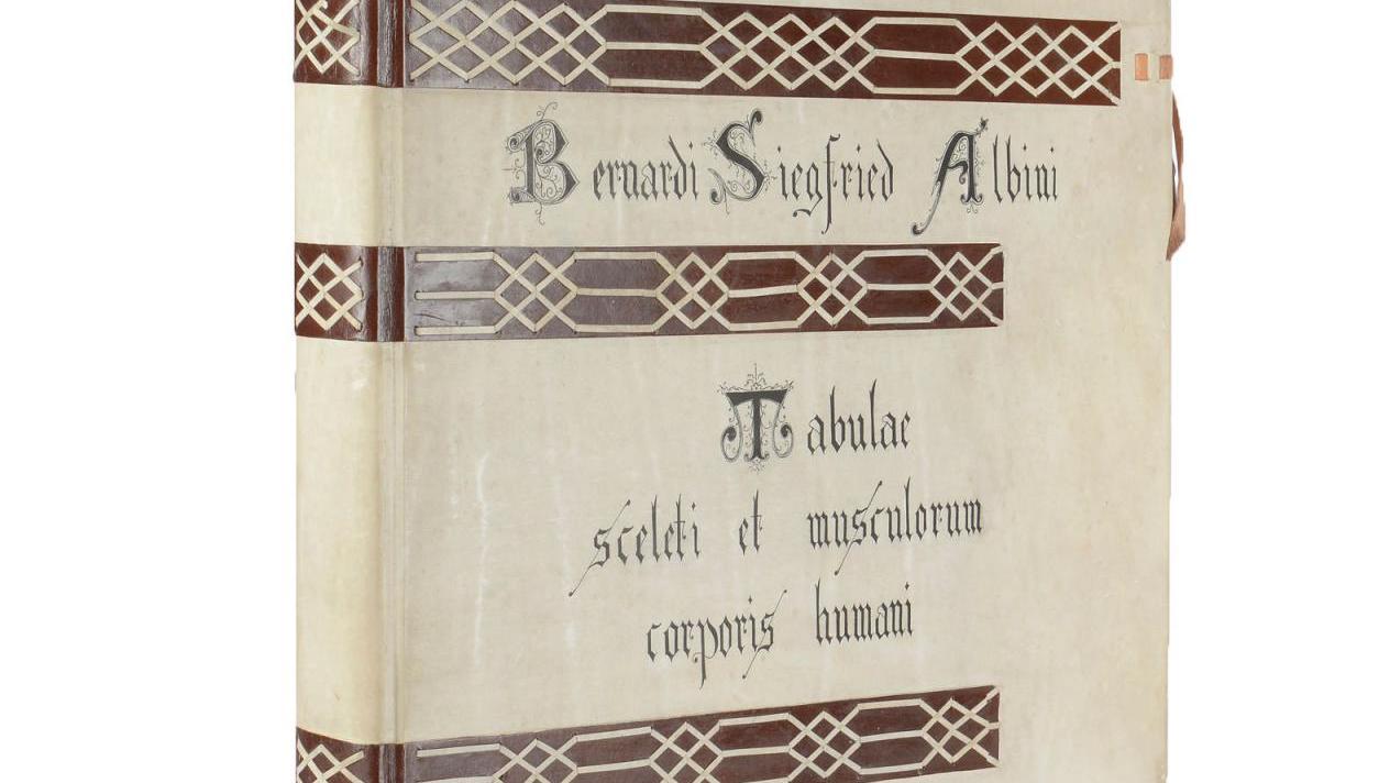 Bernhard Siegfried Albinus (1697-1770), Tabulae sceleti et musculorum corporis humani,... Bernhard Siegfried Albinus : l’homme sous toutes les coutures