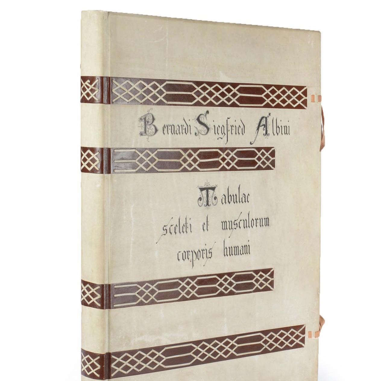 Albinus and the Art of the Book - Pre-sale