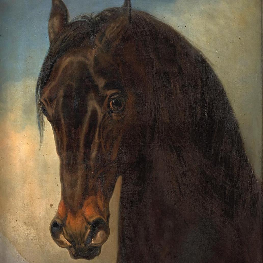 Un cheval princier - Panorama (après-vente)