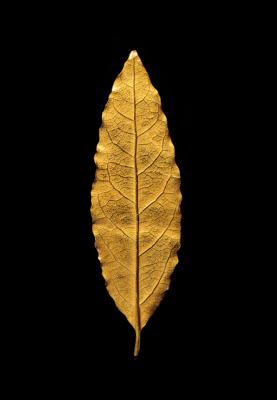 Martin Guillaume Biennais (1764-1843), feuille de laurier en or provenant de la couronne de sacre de Napoléon Ier, 1804, l. 9,2 cm, poids 