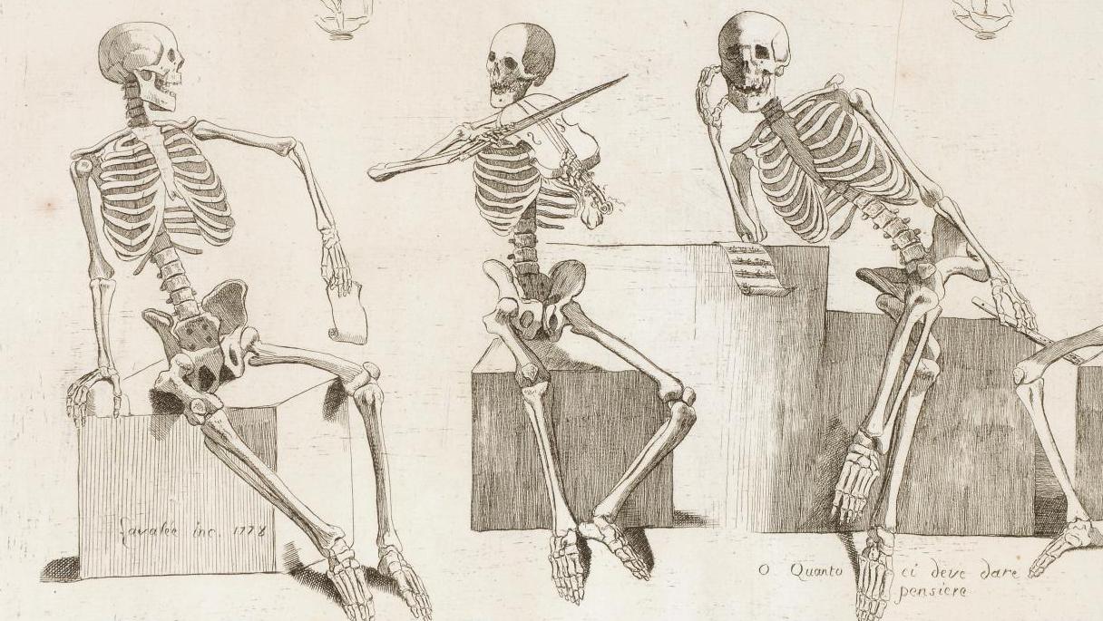 L’anatomie expliquée, et illustrée par des artistes