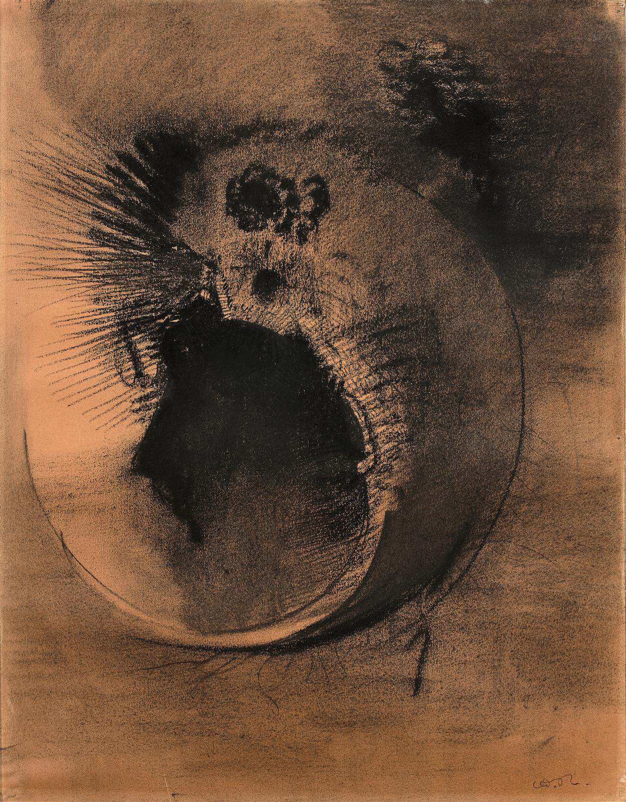 Odilon Redon, Visage cellulaire, charcoal and stump drawing, 48.5 x 37.5 cm/19 x 14.7 in.Estimate: €80,000/120,000