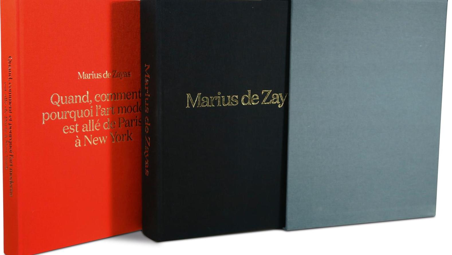   Biographie : Marius de Zayas