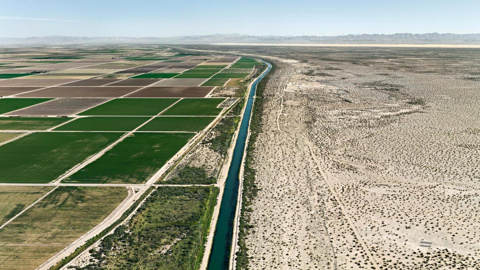 Edward Burtynsky (né en 1955), Irrigation par sillons, vallée impériale, Californie... Edward Burtynsky. Eaux troublées