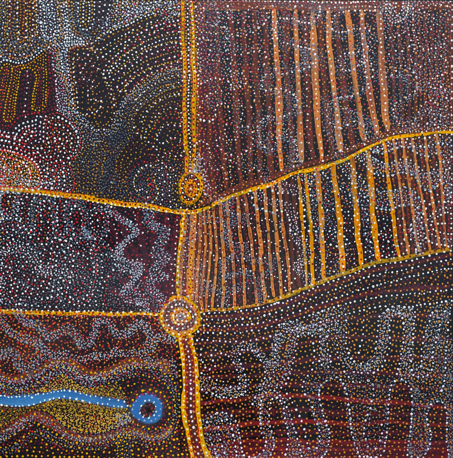 L’art aborigène. Collection Pierre Montagne