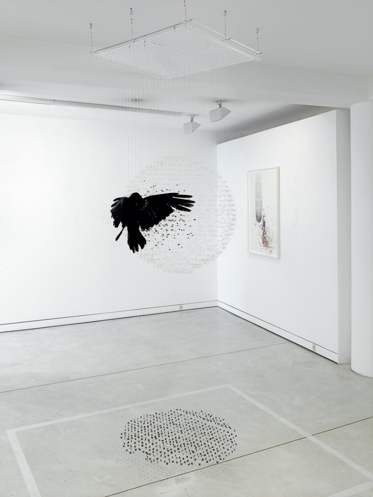 Claire Morgan, On Impact, 2014, corbeau taxidermisé, graines de chardon, nylon, plomb, 250 x 75 x 75 cm. © Claire Morgan, courtesy Galerie
