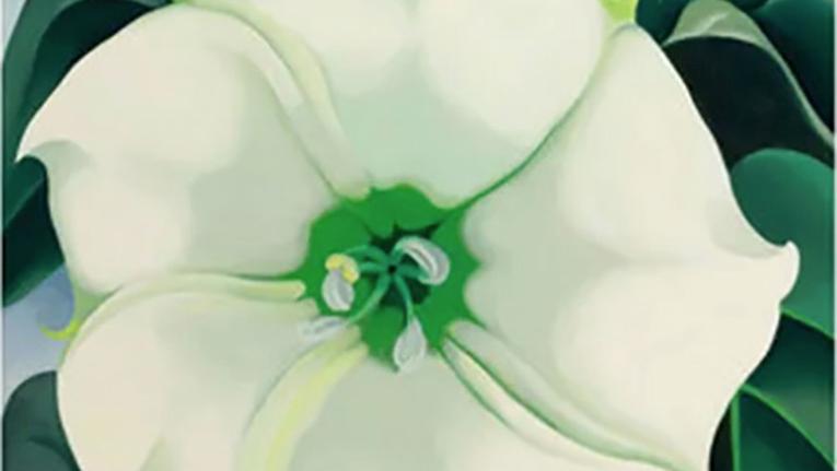 Jimson Weed/White Flower N°1 (1932) détient le record du plus haut prix aux enchères... L'Observatoire : une série de records pour Georgia O’Keeffe