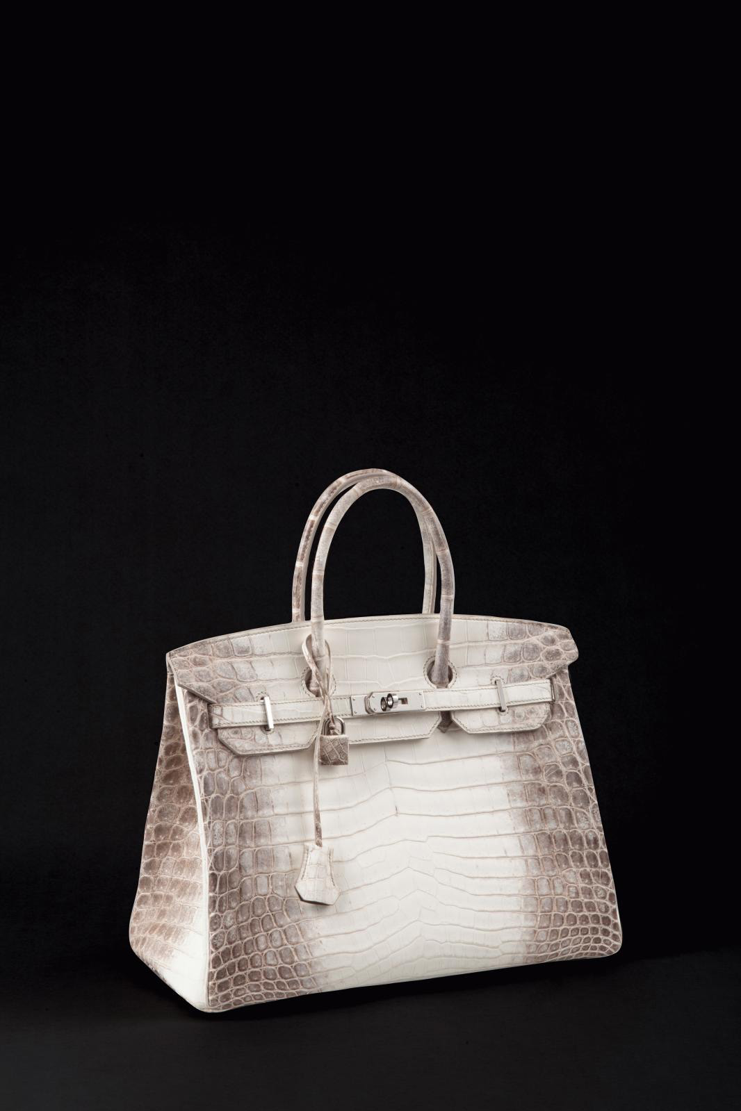 A Solid Investment: The Hermès 'Himalaya' Birkin Bag 