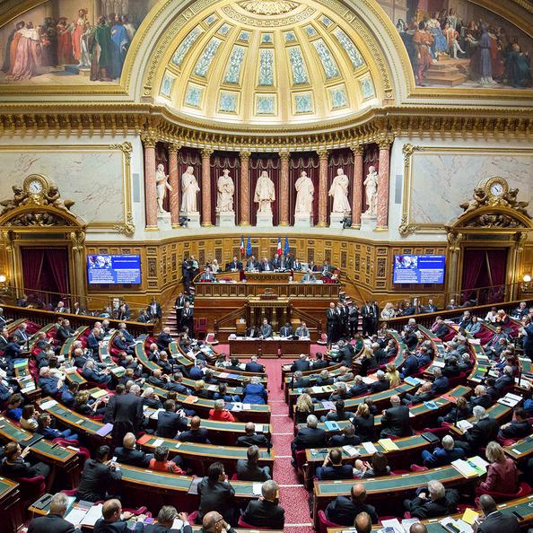 The French Senate Takes Up the Issue of Restitution