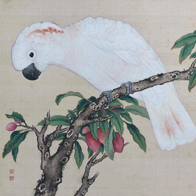 Un Manuel des oiseaux chinois