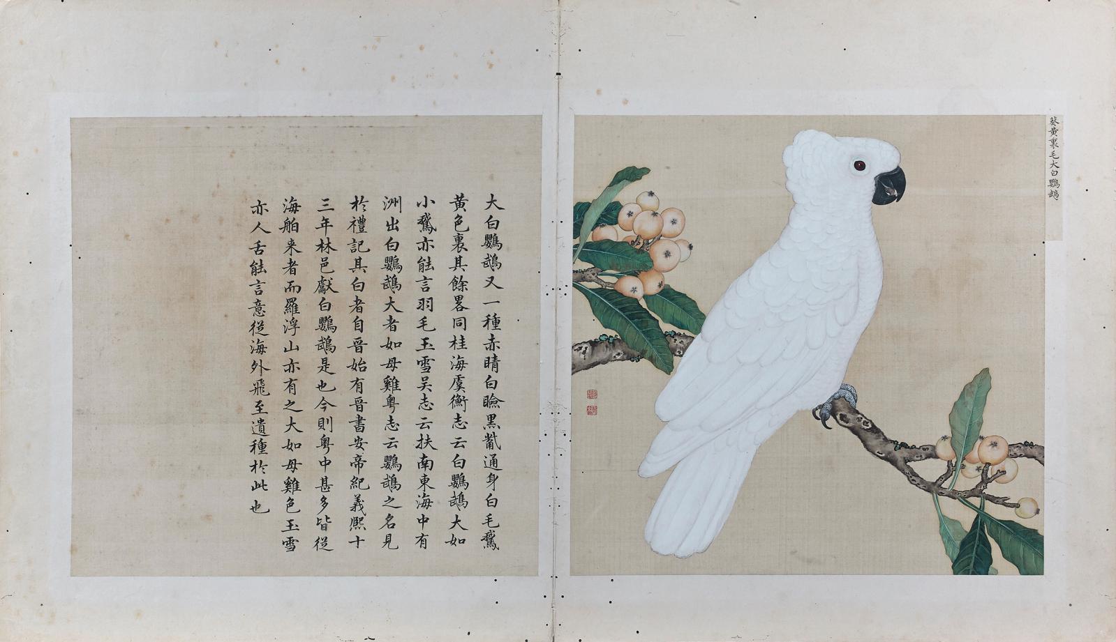 Un trio d’oiseaux chinois de l’époque Kangxi