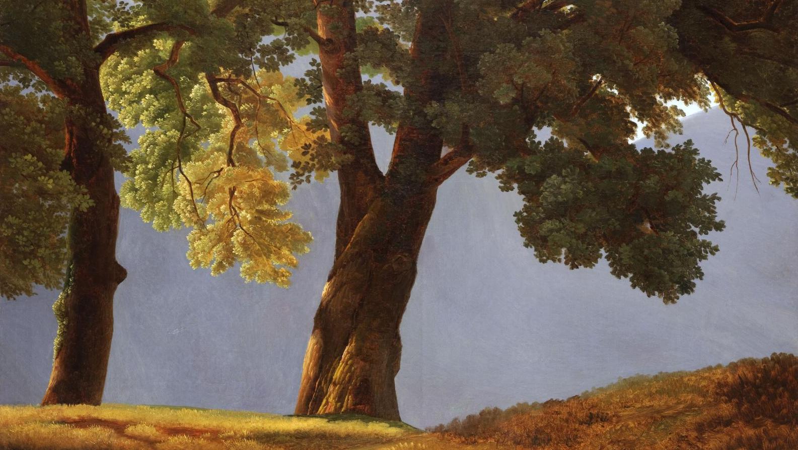 Simon Denis (1755-1813), Arbres devant une vallée, huile sur toile, 68,8 x 91,1 cm... Sur le motif. Peindre  en plein air 1780-1870 à la fondation Custodia