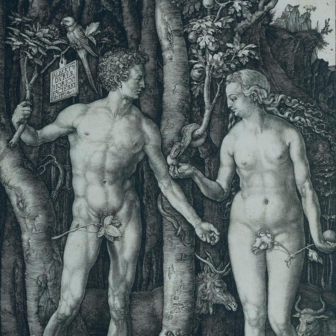 Albrecht Dürer’s Journeys 