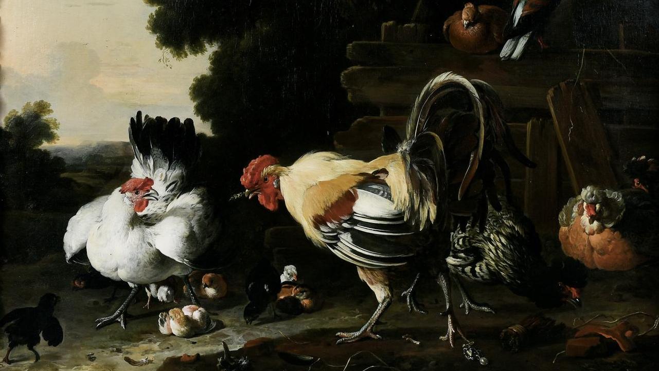 Melchior de Hondecoter (1636-1695), Oiseaux de basse-cour dans un paysage, huile... Melchior de Hondecoter : ramages et plumages