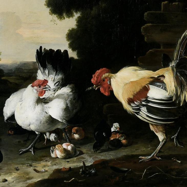 Melchior de Hondecoter : ramages et plumages